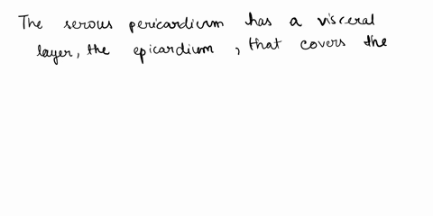 the-is-the-is-the-visceral-layer-of-the-serous-pericardium-oepicardium-oendocardium-o-myocardium-o-pericardium-the-top-2-receiving-chambers-of-the-human-heart-were-connected-by-an-opening-in-46586