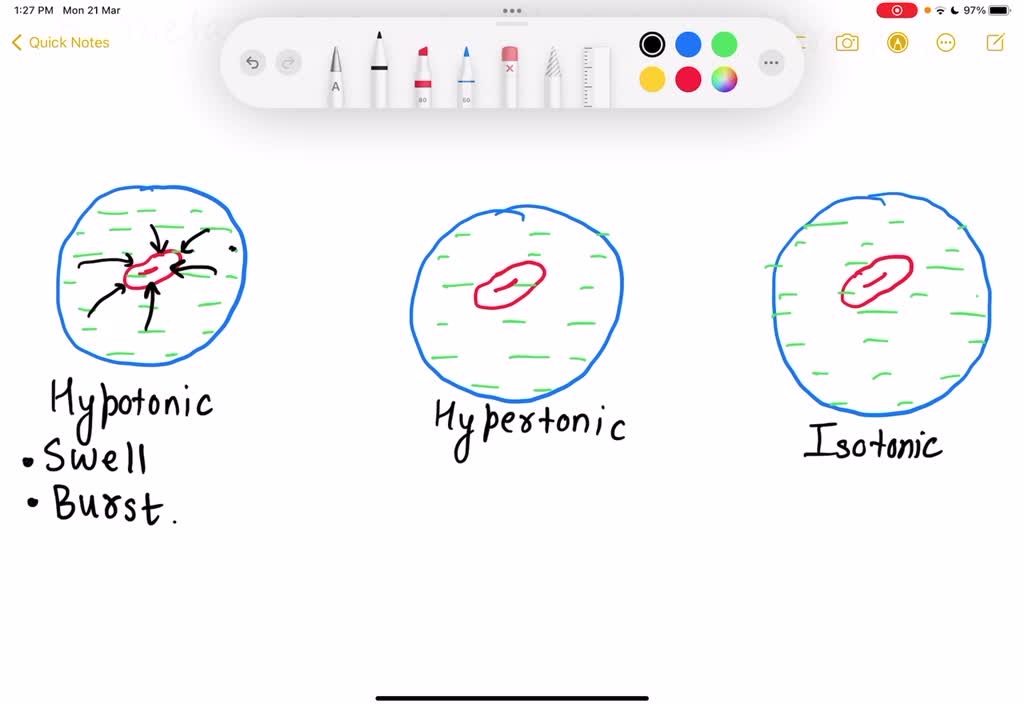 solved-describe-clearly-the-appearance-red-blood-cells-that-were