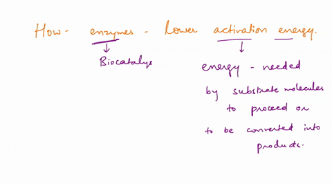 how-do-enzymes-lower-activation-energy-00974