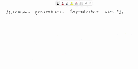 what-is-alternation-of-generations-how-did-this-basic-feature-of-the-life-cycle-change-as-plant-diversified-and-became-more-successful-in-the-terrestrial-environment-76718