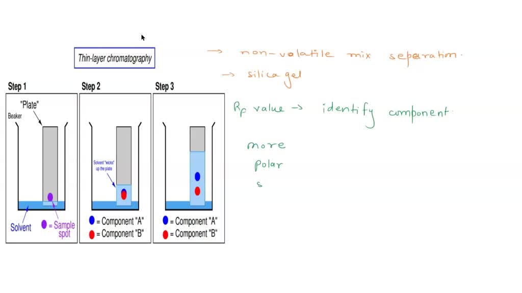 SOLVED What does the above TLC experiment tell you about the effect of