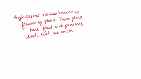 angiosperms-_____-have-flowers-have-cones-are-nonvascular-are-seedless-79681