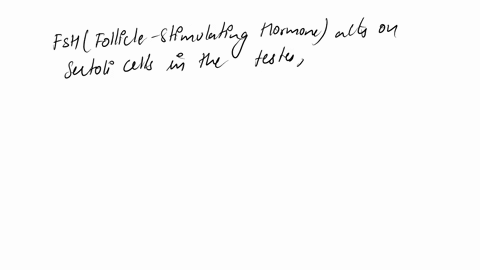 fsh-acts-on-sertoli-cells-and-stimulate-the-production-of-some-factors-and-hormones-which-helpin-sperm-formation-they-are1-androgens-and-inhibin2-aldosterone-and-histamine3-prostaglandins-an-72247