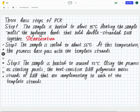 which-of-the-following-is-the-correct-order-of-pcr-steps-group-of-answer-choices-1-annealing-2-extension-3-denaturation-1-denaturation-2-extension-3-annealing-1-extension-2-anneling-3-denaturation-1-d