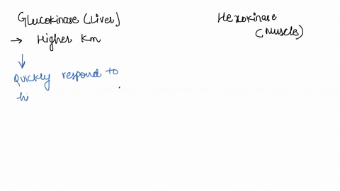 why-do-liver-cells-express-hexokinase-isozyme-glucokinase-with-much-higher-km-than-muscle-hexokinase-37713
