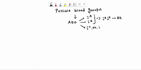 if-a-man-of-blood-group-ab-marries-a-woman-of-blood-group-a-whose-father-was-of-blood-group-0-to-what-different-blood-groups-can-be-expected-for-their-children-88237