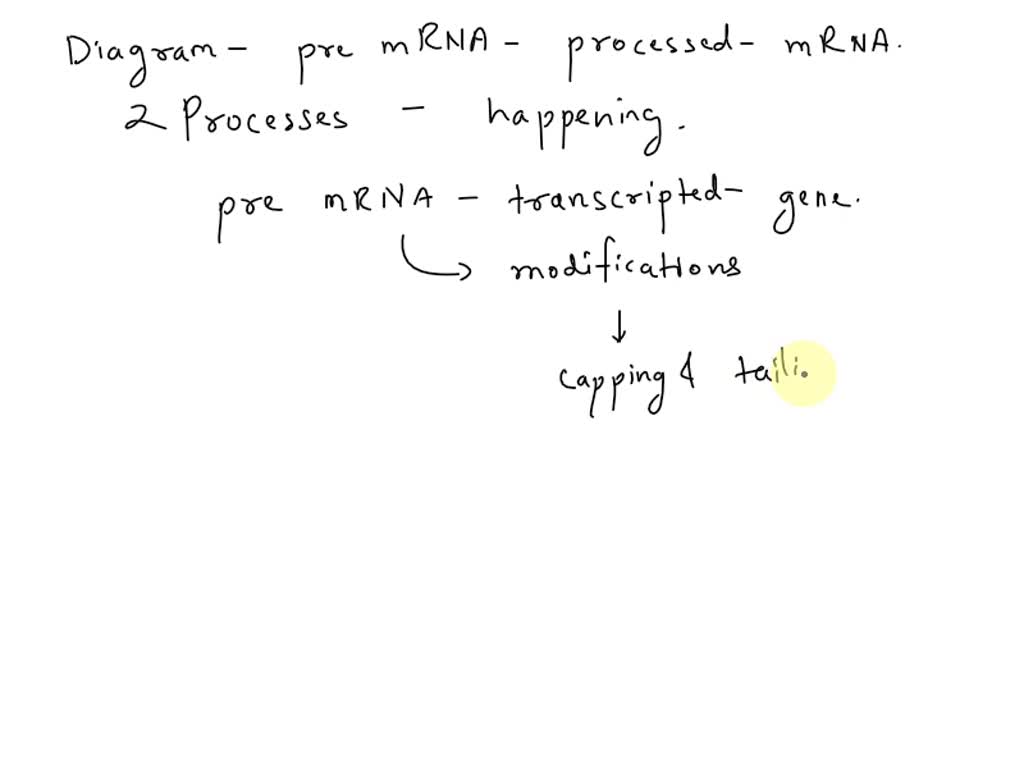 SOLVED: 'the diagram shows the process in which pre-mRNA is changed ...