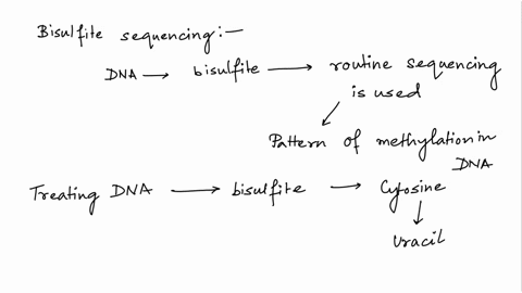explain-how-bisulfite-sequencing-helps-researchers-to-detect-methylated-cytosines-92815