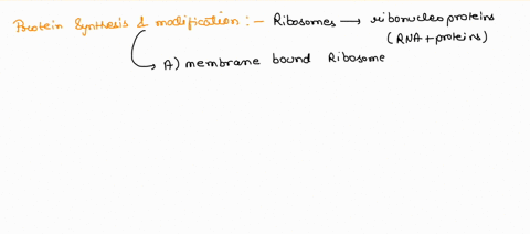 which-of-the-following-statements-about-proteins-is-correct-a-proteins-are-transported-to-the-roug-2-25312