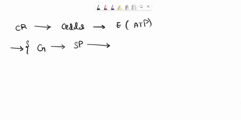 which-two-molecules-are-reduced-during-cellular-respiration-to-harvest-electrons-13526