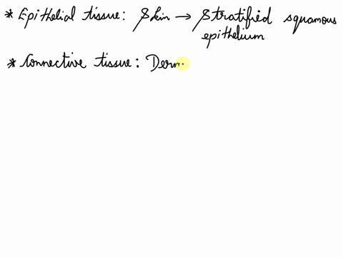 list-which-of-the-4-types-of-tissues-are-found-in-the-integument-skin-and-a-very-brief-example-of-a-structure-composed-of-each-type-of-tissue-found-in-the-integument-1-epithelial-tissue2-con-56509
