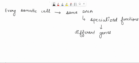 9-if-every-somatic-cell-in-a-multicellular-organism-contains-the-same-dnahow-can-different-cells-have-specialized-functions-aonce-the-entire-genome-is-expressedeach-cell-has-specialized-prot-50317