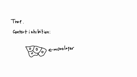 when-cancer-cells-are-crowded-by-surrounding-cells-the-cancer-cells-become-spherical-and-they-can-still-go-through-cell-division-a-true-b-false