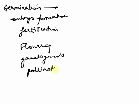 following-germination-place-the-following-events-in-the-correct-order-in-the-plant-life-cycle-embryo-formationdevelopment-fertilization-flowering-gametogenesis-pollination-31156
