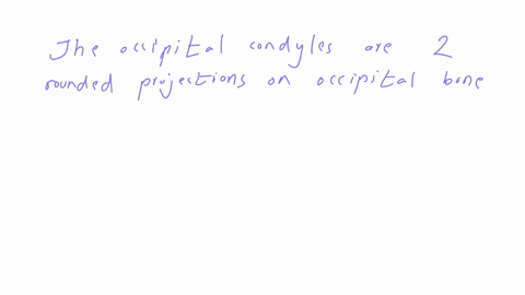 7-with-what-structure-do-the-occipital-condyles-articulate-a-the-superior-articulating-processes-of-the-atlas-b-the-mandibular-condyles-c-the-dens-of-the-axis