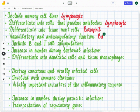 match-each-phrase-t0-the-formed-element-it-describes-erythrocyle-red-blood-cell-include-memory-cell-iines-lymphocyte-diflerentiale-into-cells-that-produce-antibodies-differentiate-into-tissu-51518