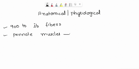 explain-the-difference-between-anatomical-and-physiological-cross-sectional-area-of-a-muscle-and-how-these-depend-on-the-orientation-of-the-muscle-fibers-relative-to-the-tendon-give-some-spe-56445