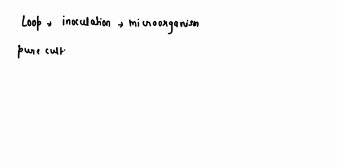 streak-plate-isolation-for-obtaining-pure-cultures-data-interpretation-please-type-the-answers-t0-the-following-questions-beiow-double-spaced-and-attach-the-data-collection-sheets-when-you-h-31458