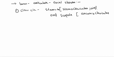 qz-3-which-of-the-following-bones-articulates-with-the-axial-skeletonselect-all-that-apply-tibia-femur-clavice-fibula-iscapula-oscoxae-humerus-uina-patella-radius-73393