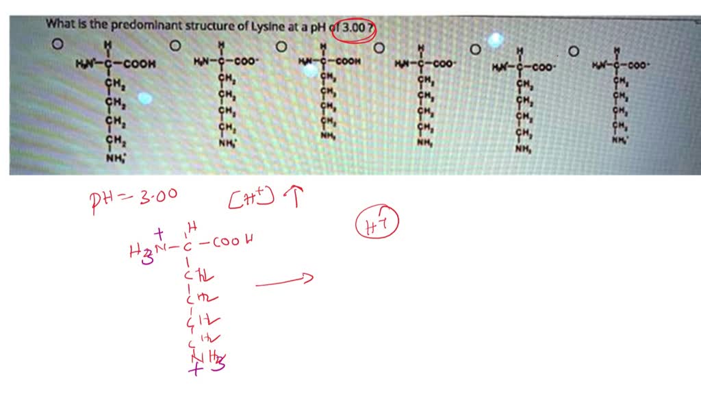 solved-what-is-the-predominant-structure-of-lysine-at-a-ph-of-3-00