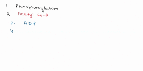 a-reaction-that-adds-phosphate-group-to-a-molecule-is-acetyl-coa-known-as-b-atp-compound-formed-when-chco-group-is-bonded-to-c-glycolysis-coenzyme-a-is-d-krebs-cycle-is-a-nucleoside-diphosph-55128