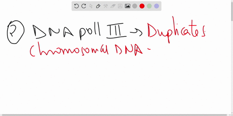 dna-polymerase-iii-help-replication-by-stabilizing-newly-unwound-dna-strands-_-b-providing-energy-to-the-helicase-enzyme_-combining-nucleotides-to-the-exposed-strand-d_-breaking-the-h-bonds-24558