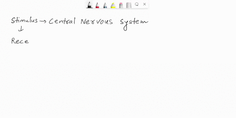 15-value-1000-points-complete-the-sentences-that-describe-how-a-sensory-impulse-is-generated-stimulus-central-nervous-system-receptor-threshold-neuron-graded-each-type-of-sensory-receptor-is-32563