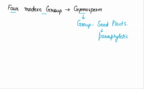 what-are-the-four-modern-day-groups-of-gymnosperms-11997