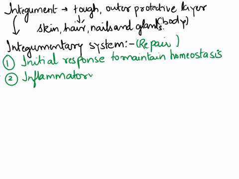 draw-a-concept-map-of-integument-repair-using-the-following-terms-a-mast-cells-b-collagen-fibers-c-macrophage-d-fibroblasts-e-inflammatory-response-f-scab-g-scar-tissue-h-phagocytosis-65718
