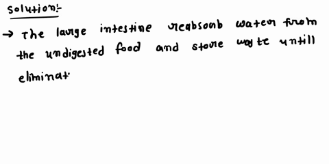 most-water-that-enters-the-digestive-tract-is-absorbed-across-the-lining-of-the-a-stomach-b-small-in-05103
