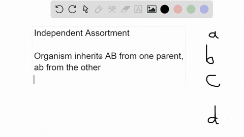 mendels-law-of-independent-assortment-is-supported-by-the-chromosomal-theory-of-inheritance-which-of-the-following-properly-summarizes-how-chromosomes-behave-to-account-for-independent-assor-48955