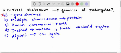 4-which-of-the-following-is-a-correct-statement-about-the-genomes-of-prokaryotes-prokaryotic-chromosomes-are-sometimes-called-genochromes-prokaryotic-cells-have-multiple-chromosomes-packaged-83242