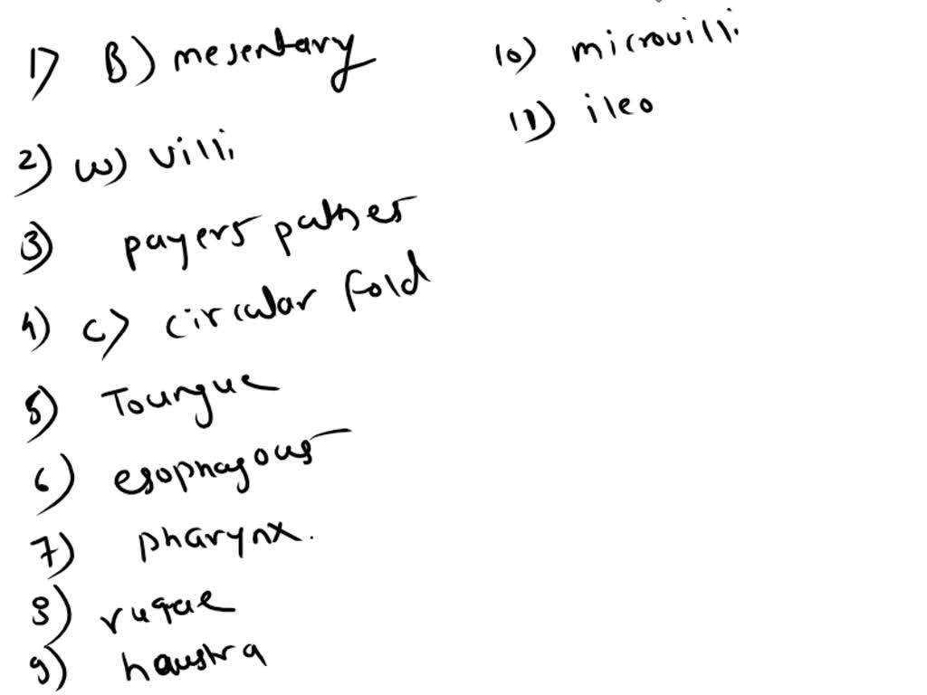 solved-anatomy-and-physiology-1-final-review-1-cardiovascular-system