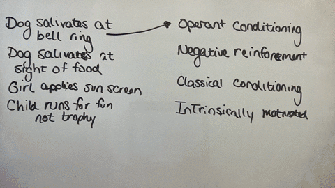 the-links-provided-in-the-reference-list-section-at-the-end-of-this-assessment-31-study-each-image-presented-in-column-a-match-the-image-with-the-corresponding-concept-listed-in-column-b-note-that-you