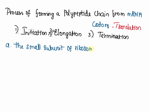 the-trna-carrying-methionine-binds-to-the-mrna-the-small-subunit-of-the-ribosome-binds-to-the-mrna-release-factor-enters-the-a-site-of-the-ribosome-the-large-subunit-of-the-ribosome-binds-to-84468