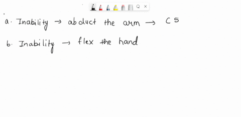 5-damage-to-which-spinal-nerves-might-produce-the-following-physical-findings-a-inability-to-abduct-the-arm-b-inability-to-flex-the-hand-or-feel-skin-over-the-anterior-and-lateral-hand-cinab-41918