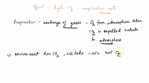 what-is-the-effect-of-high-carbon-dioxide-levels-in-the-rate-of-respiratory-movements-discuss-33808