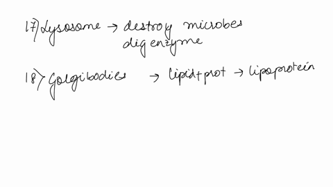 17phagocytic-bc-would-nzve-the-largest-ainount-of-mitochondriz-nucleol-microtubulcs-lysosomes-the-cell-that-oroduces-large-amojnt-lipoproteins-for-sccrction-from-the-ell-ivould-have-argc-num-20647