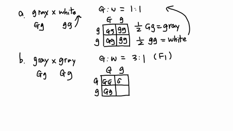 2-in-peas-the-gray-seed-color-is-dominant-to-white-in-the-following-experiments-parents-with-known-phenotypes-but-unknown-genotypes-produced-the-listed-progeny-begintabularlcc-multicolumn1c-parents-2