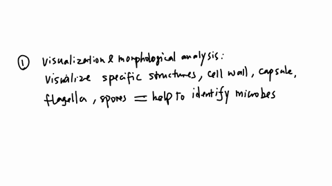 explain-the-purpose-of-staining-in-the-context-of-microbiology