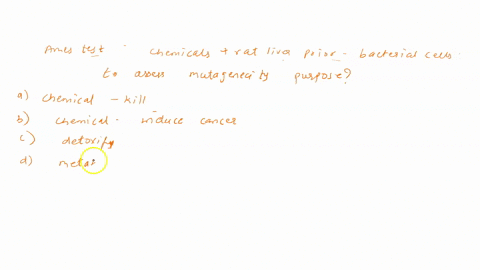 in-the-revised-ames-test-bruce-ames-mixed-chemicals-with-homogenized-rat-liver-prior-to-adding-them-to-bacteria-to-assess-their-mutagenicity-what-was-the-purpose-of-this-step-of-the-experime-11775