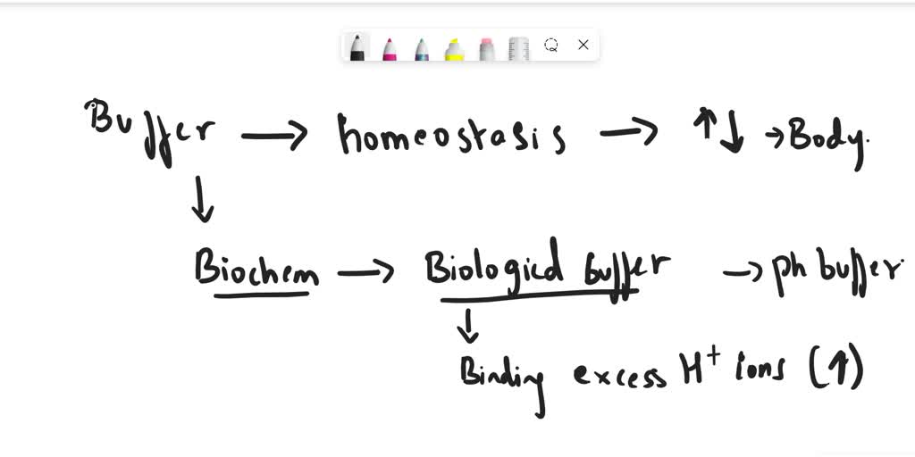 SOLVED Question What is a buffer and why is it important to the human body? (2 pt for