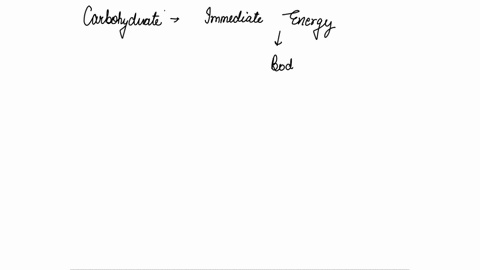 which-two-macromolecules-offer-energy-storage-to-the-cell-05325