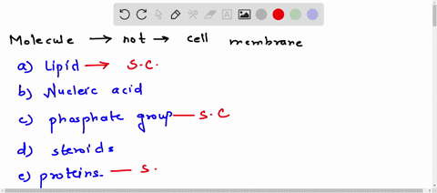 which-molecules-is-not-part-of-the-cell-membrane-a-lipid-b-nucleic-acid-c-phosphate-group-d-steriod-e-protein-24237