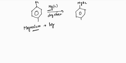 careful-choice-of-solvent-cscnu-for-the-successful-gencration-and-reaction-of-4-ingnard-rcagent-explain-why-anhydrous-dicthyl-cthcr-and-tctrahy-drofuran-thf-itc-comton-solvents-for-ihe-gener-36525