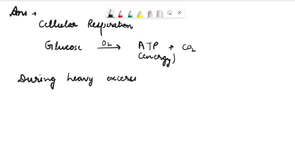 SOLVED: What are some fun and interesting facts about cellular respiration?