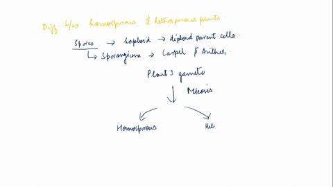 what-is-the-difference-between-homosporous-and-heterosporous-plants-homosporous-plants-can-fertilize-themselves-whereas-heterosporous-plants-are-unable-to-fertilize-themselves-all-nonvascula-70545