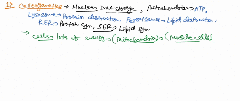 1-how-do-the-organelles-found-within-different-cells-vary-based-on-the-function-of-the-cell-or-the-type-of-cell-examples-really-help-2-compare-and-contrast-simple-diffusion-facilitated-diffu-86098