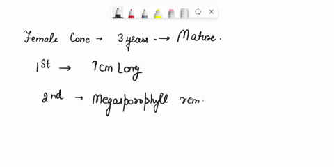 ch22-1-suomite-9667120-total-polnts-awarded-help-exit-an-immature-eight-inch-reddish-colored-pine-cone-was-knocked-down-from-tree-curing-recent-storm-which-structure-or-structures-does-the-c-17736