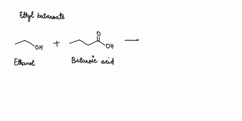 which-pair-of-reactants-forms-ethyl-butanoate-during-an-esterification-reaction-group-of-answer-choices-butanoic-acid-and-ethanol-ethanoic-acid-and-2-butanol-formic-acid-and-1-butanol-acetic-85499